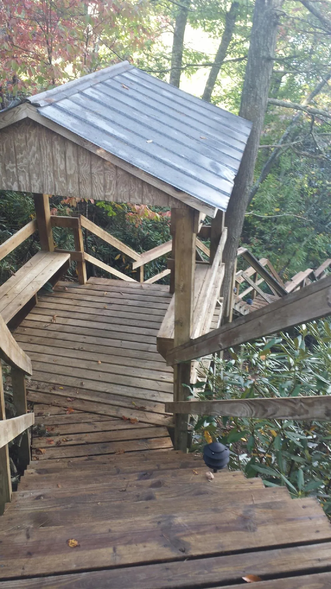 Metal roofed shelter over wooden steps on a wooded walkway — Skylight Repair & Installation work by our crew in Ryderwood