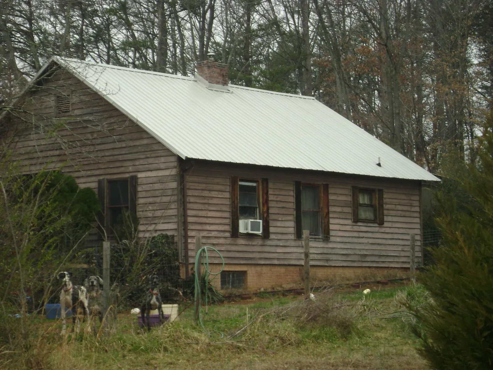 White metal roof on an old wood sided farmhouse, from a Metal Roof Installation job in Ryderwood